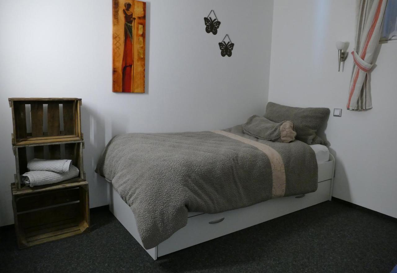 Aktiv-Ferienwohnung "Snow & Bike"- Zentral Zwischen Winterberg Und Willingen المظهر الخارجي الصورة