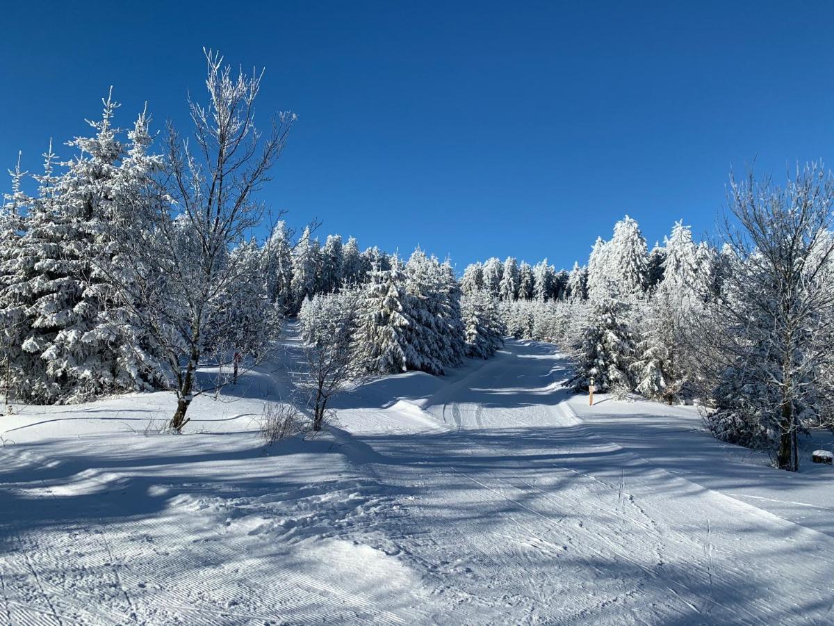 Aktiv-Ferienwohnung "Snow & Bike"- Zentral Zwischen Winterberg Und Willingen المظهر الخارجي الصورة